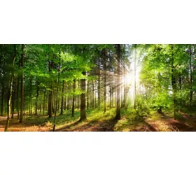 @inlombardia_adobestock