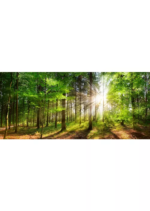@inlombardia_adobestock