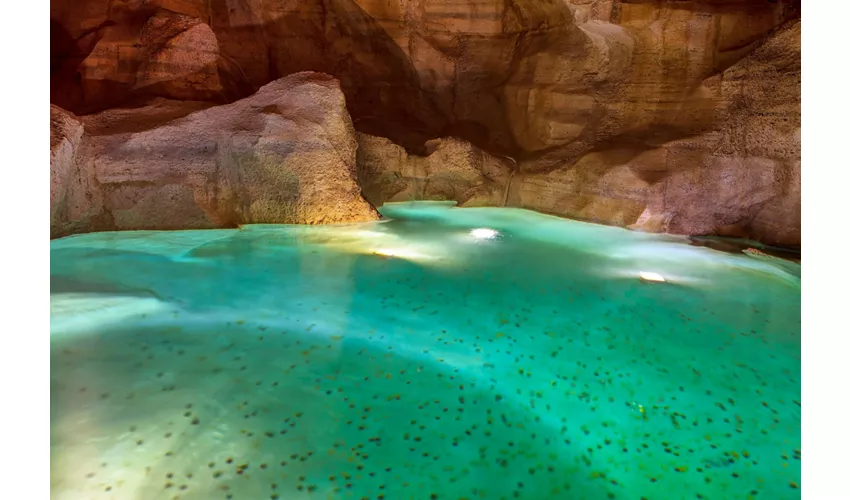 Fontana di Trevi: Casa sotterranea + Tour guidato a piedi