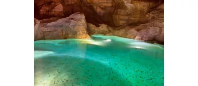 Fontana di Trevi: Tour guidato Domus Sotterranee + Tour a piedi della città