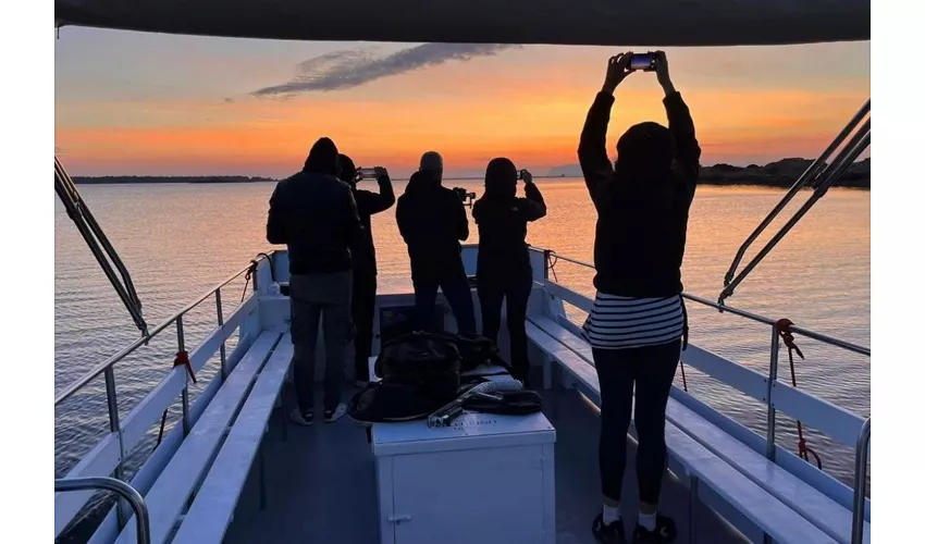 Isla de Mozia: Traslado en barco ida y vuelta desde Marsala + Entrada
