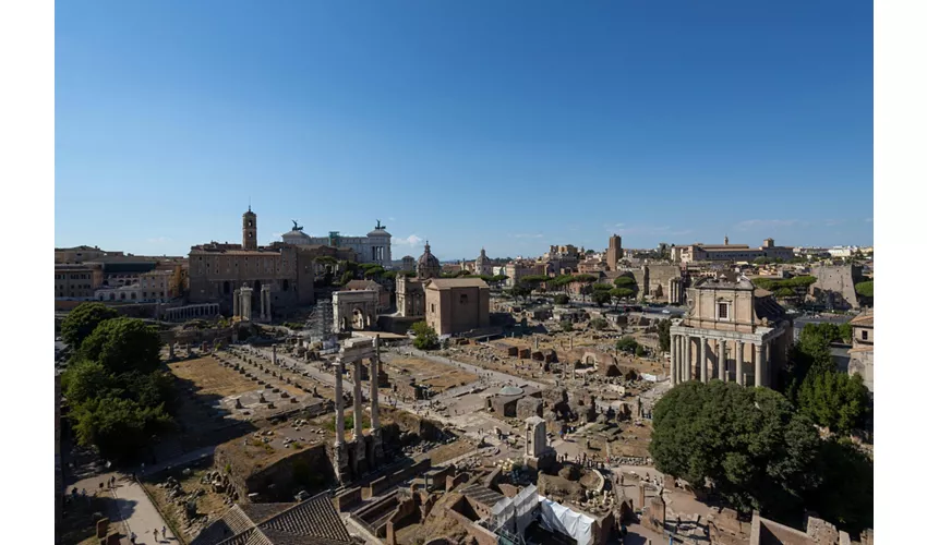 Colosseum, Roman Forum & Palatine Hill + Audio Guide