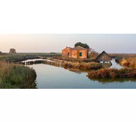 L’anguilla delle Valli di Comacchio