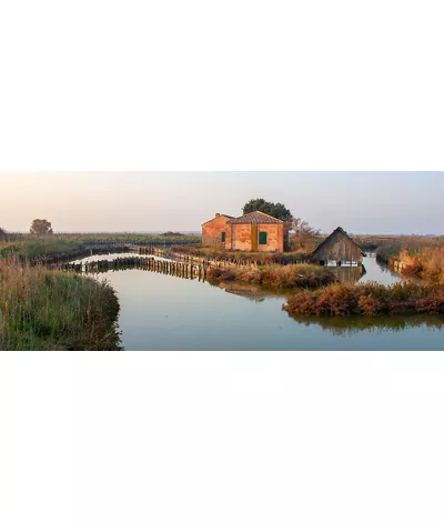 L’anguilla delle Valli di Comacchio