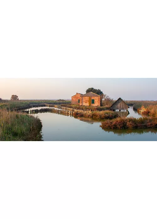 L’anguilla delle Valli di Comacchio