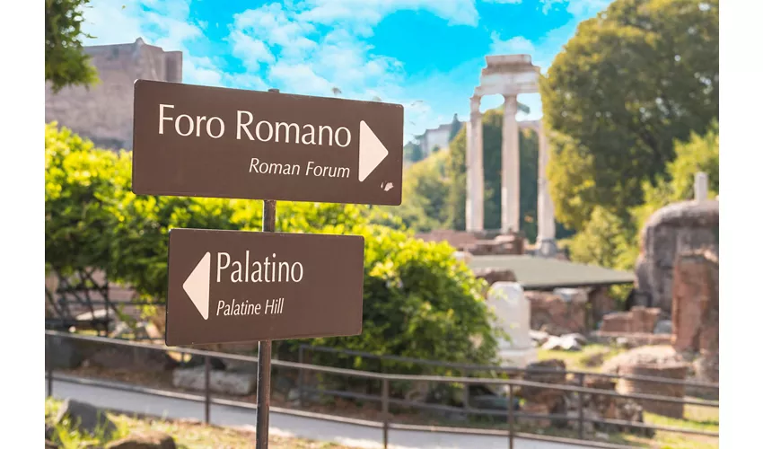 Tour guidato del Colosseo, Foro Romano e Palatino