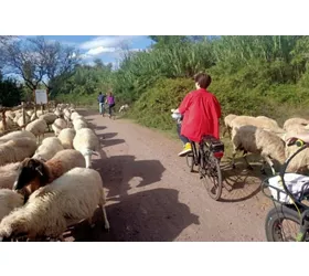 Appia Antica, Acquedotti e Catacombe Roma: Tour in E-Bike