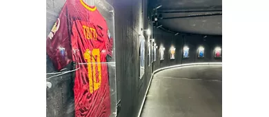 Stadio Olimpico: Tour guidato