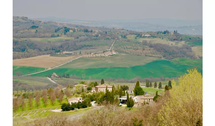 Gita in Toscana da Roma con Pranzo Incluso