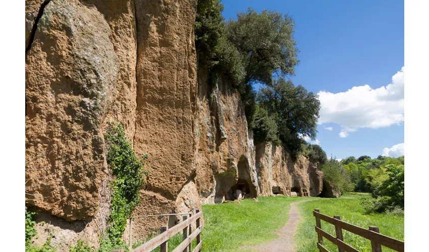 Parco Archeologico di Sutri: Biglietto d'ingresso "salta la fila