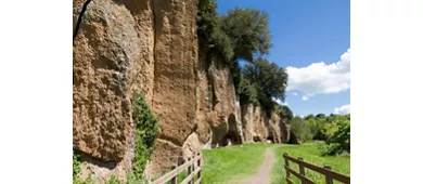 Parco Archeologico di Sutri: Biglietto d'ingresso "salta la fila