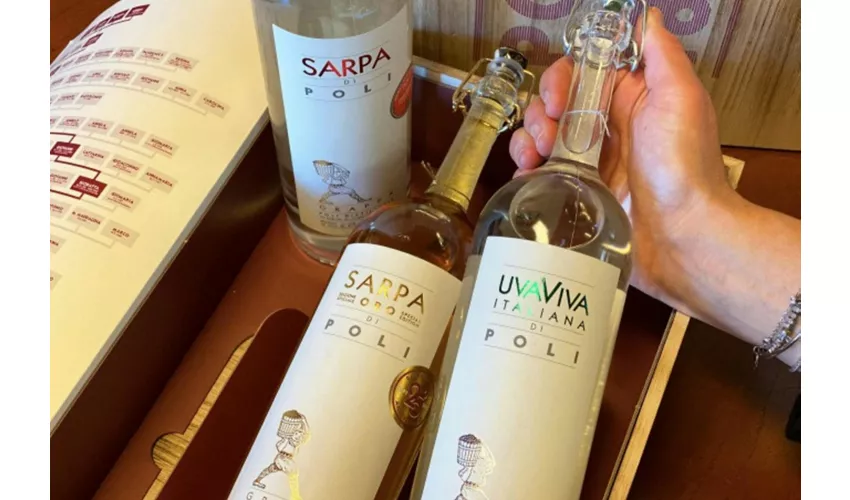 Venecia: Cata guiada de Grappa