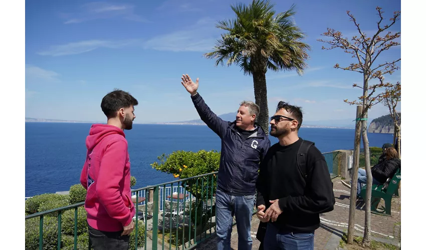 Pompei e Sorrento: Gita di un giorno da Roma