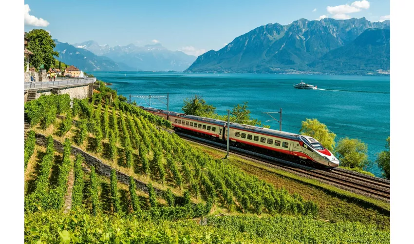 Milano: Trasferimento in treno di sola andata a Peschiera Del Garda