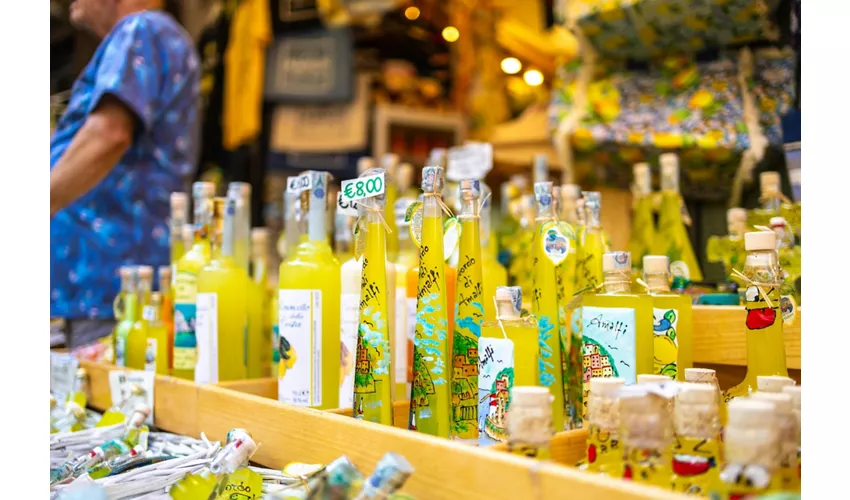 Pompei e Sorrento: Gita guidata di un giorno da Roma + pranzo + degustazione di limoncello