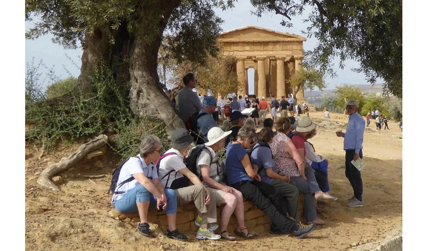 Valle de los Templos: Tour guiado