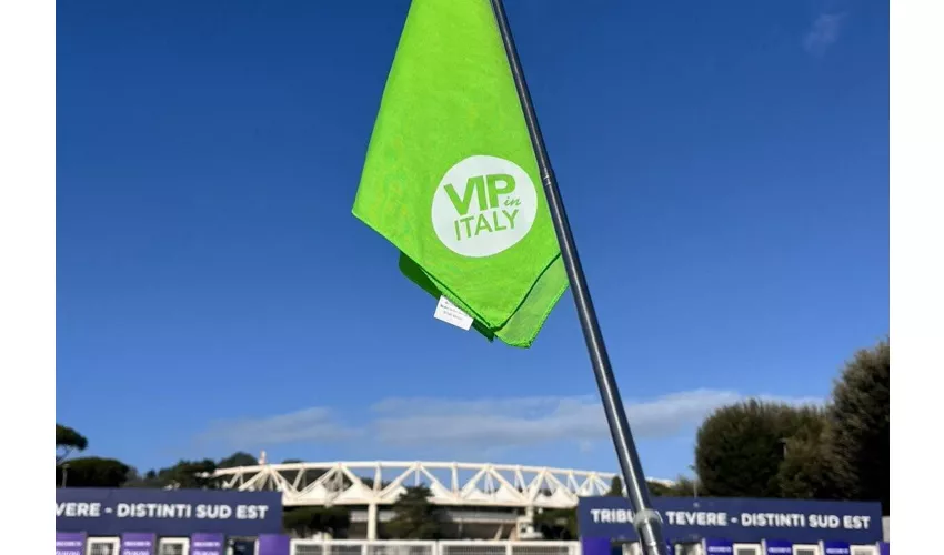Stadio Olimpico: Tour guidato