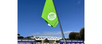 Stadio Olimpico e Foro Italico: tour guidato