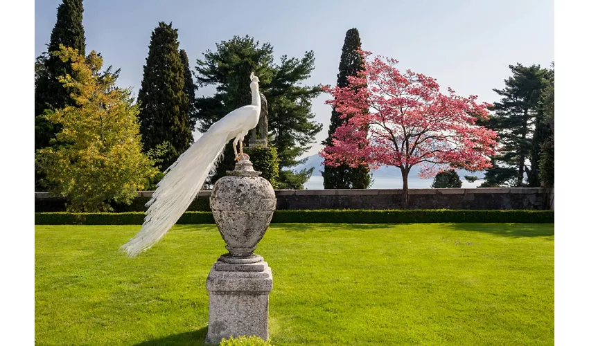 Lago Maggiore: Gita in Giornata da Milano