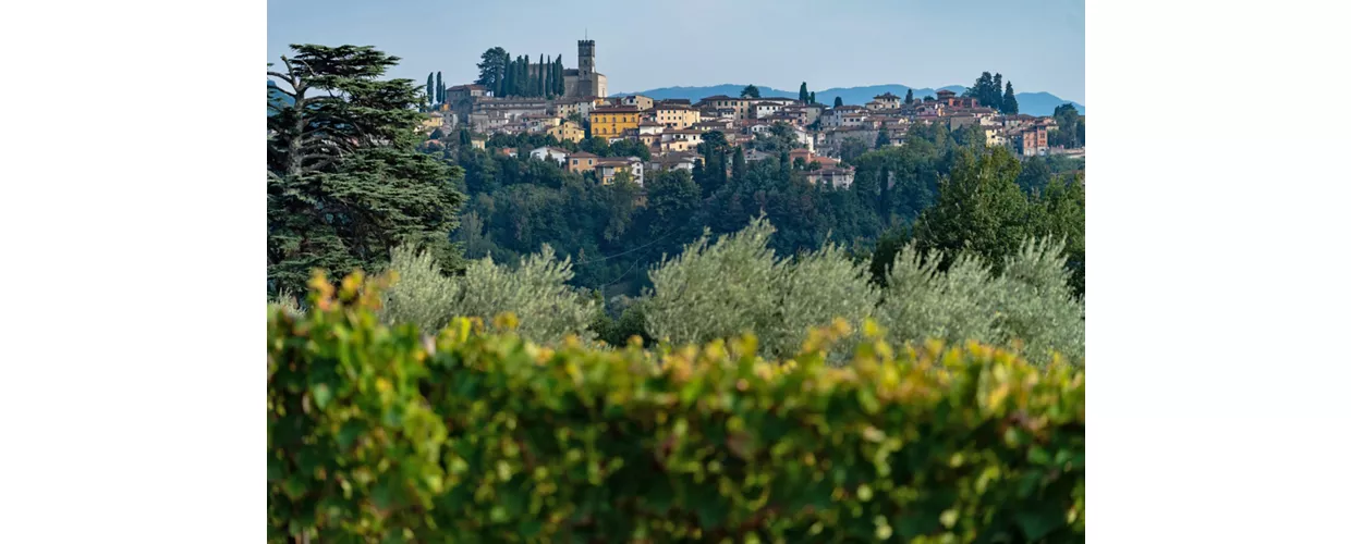 Barga in Cioccolato