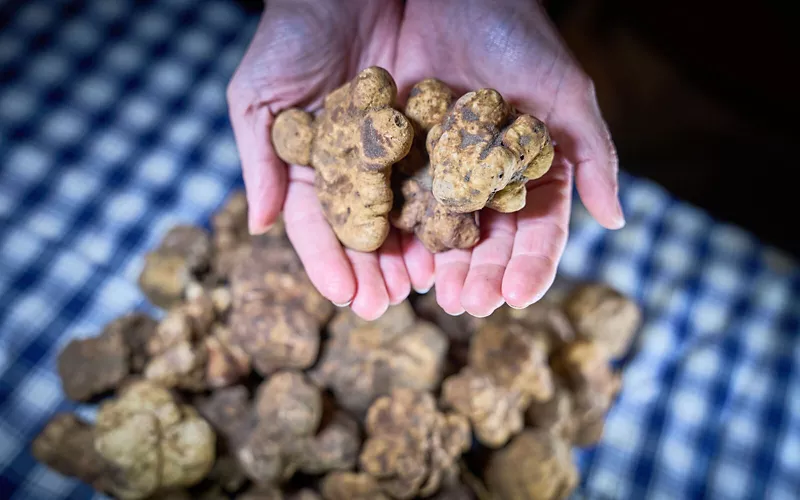 Gabriele Forti Photographer