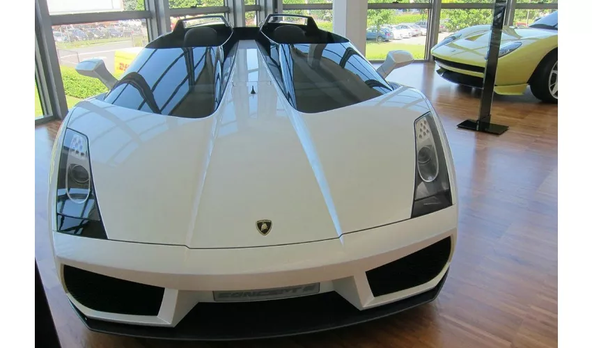 Museo Lamborghini y Museo Enzo Ferrari: Entrada
