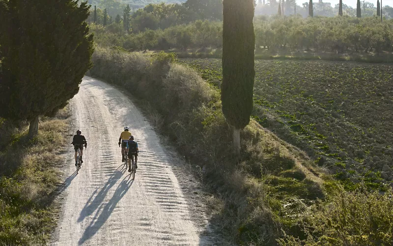 Pedalare tra vigne e strade bianche.