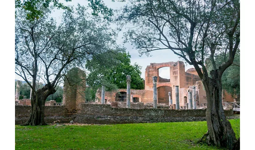 Villa d'Este e Villa Adriana: ingresso e viaggio di andata e ritorno da Roma