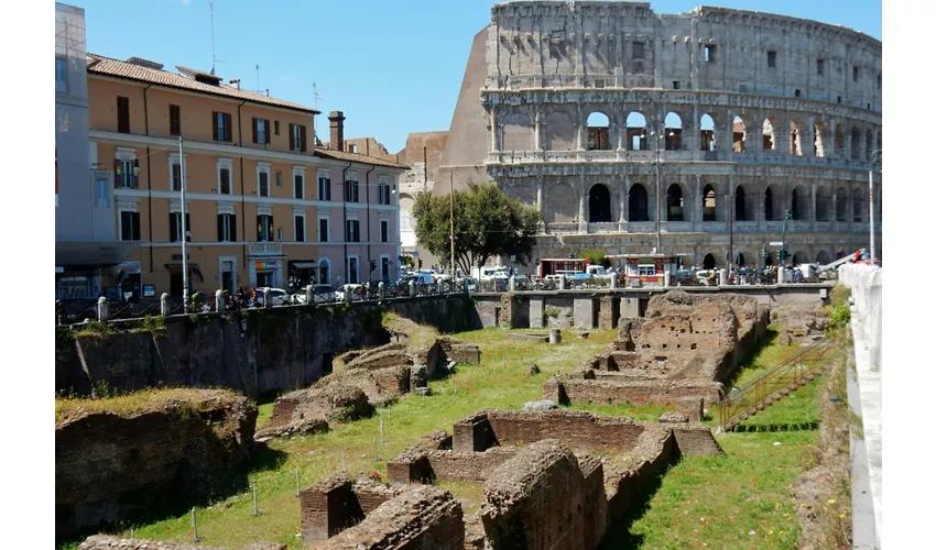 Colosseo, Foro Romano e Palatino + Tour guidato per gruppi ristretti