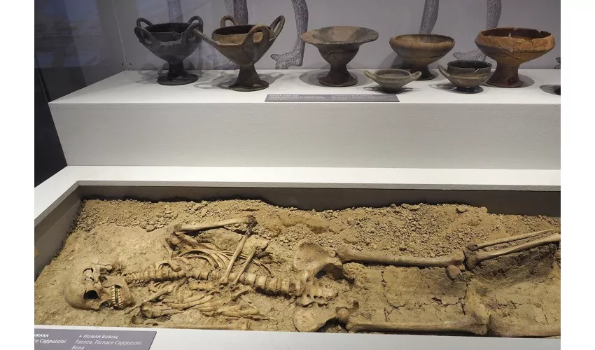 Museo Classis Ravenna: Biglietto d'ingresso