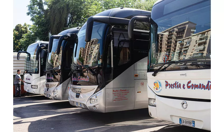 Palermo: Traslado en autobús desde/hasta el aeropuerto y el centro de la ciudad