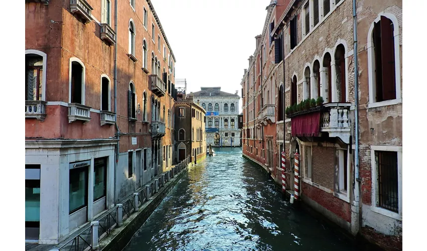 Musei del Moderno e Contemporaneo: Combo Palazzo Ca' Pesaro e Museo Fortuny