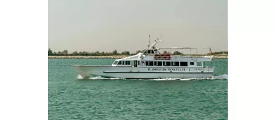 Venezia: Tour in barca + bicchiere di prosecco