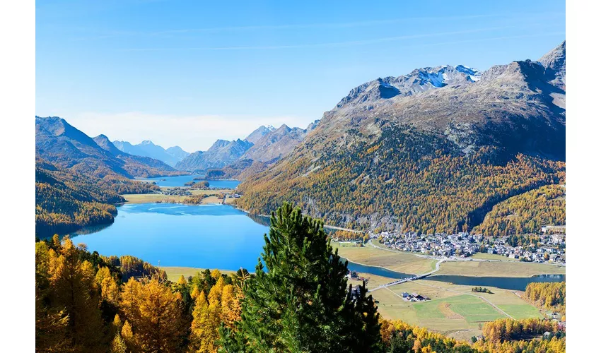 Esperienza del Trenino Rosso del Bernina da Milano