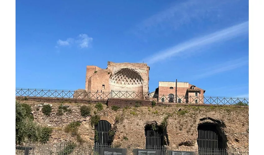 Colosseo, Foro Romano e Palatino + Audioguida digitale