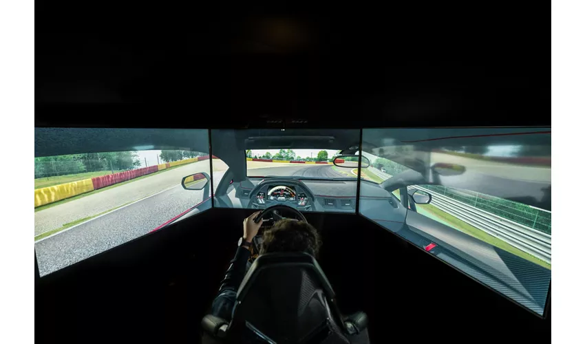 Museo del Automóvil Lamborghini: Entrada + Simulación de conducción