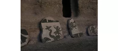 Terme di Caracalla: Entrada + Audioguía