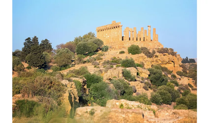 El Valle de los Templos: Entrada