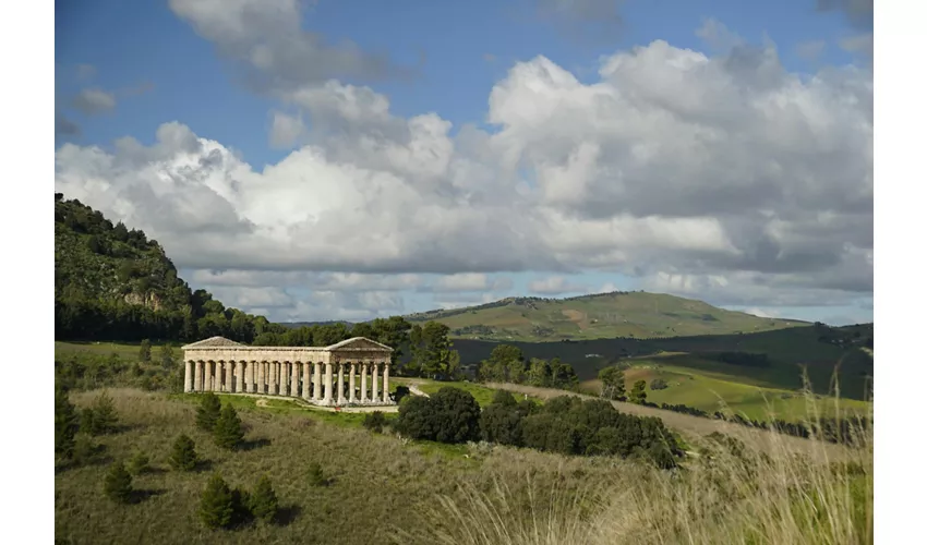 Entrada al Parque Arqueológico de Segesta + Servicio de transporte ida y vuelta