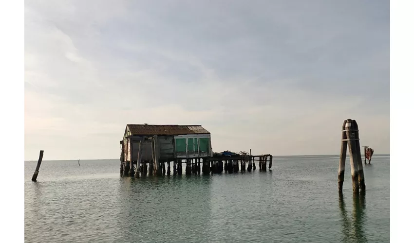 Pellestrina: Excursión guiada en barco por la laguna veneciana