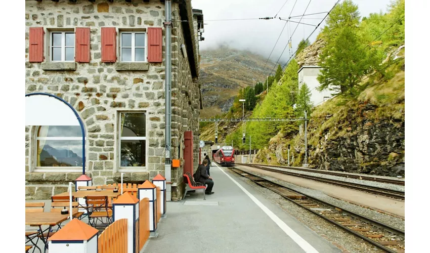 Bernina Red Train Experience from Milan