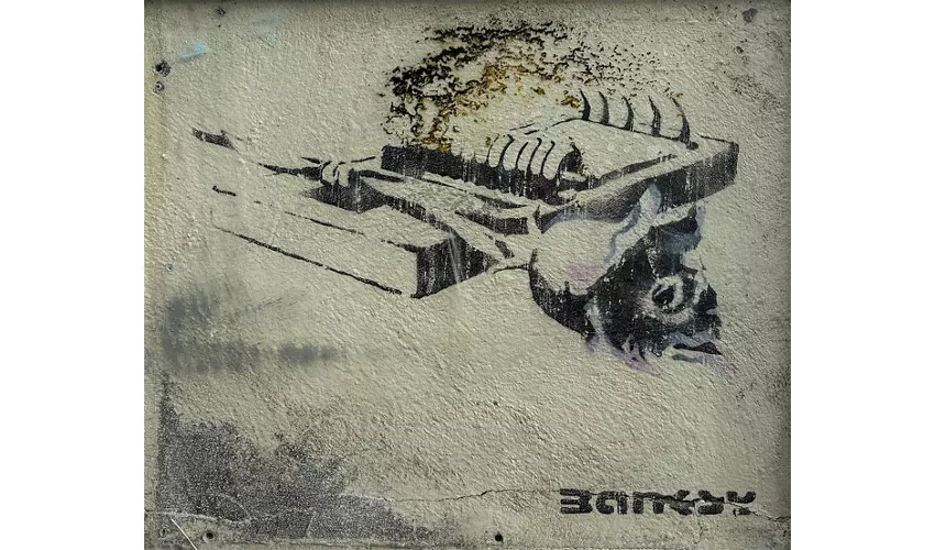Palazzo Fava: Banksy Archive 01 - The School of Bristol 1983-2005 Exposição