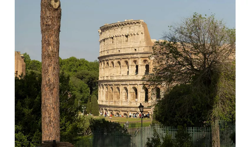 Colosseum, Roman Forum & Palatine Hill + Guided Tour