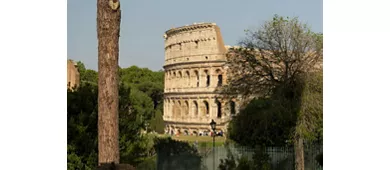 Colosseum, Roman Forum & Palatine Hill + Guided Tour