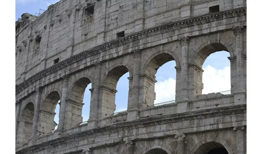 Colosseo e Foro Romano: Tour guidato semi privato