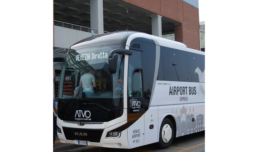 Venice: Shuttle Bus Transfer from Venice to Treviso Canova Airport