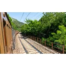 Treni storici 2026