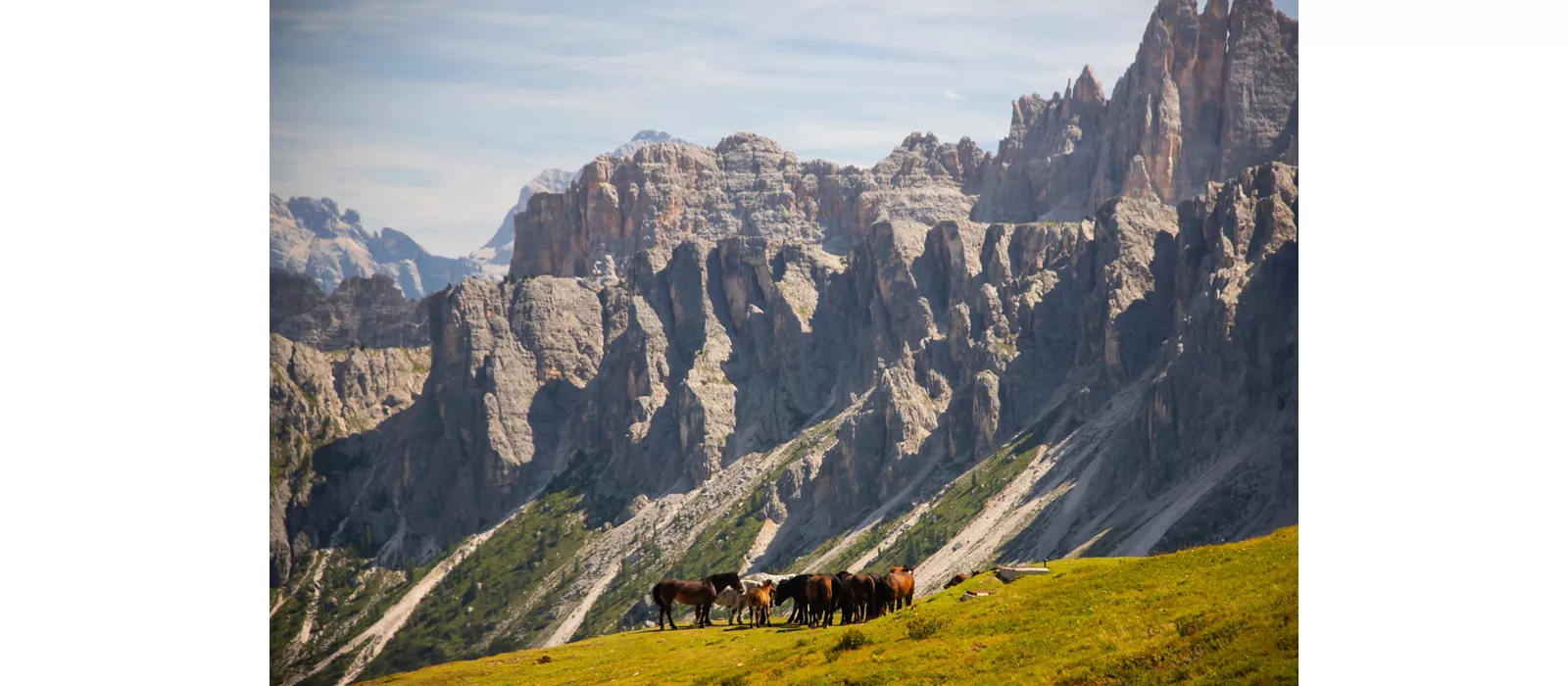 Horses in the beautiful Dolomites