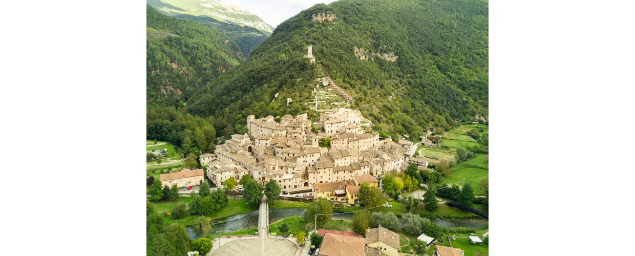 Scheggino