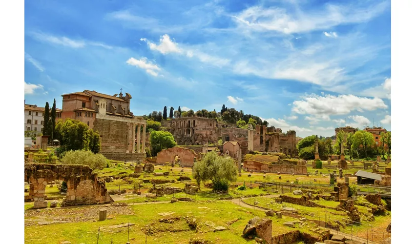 Foro Romano e Palatino: Visita guidata